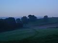 Early morning, near Beaminster P1150527